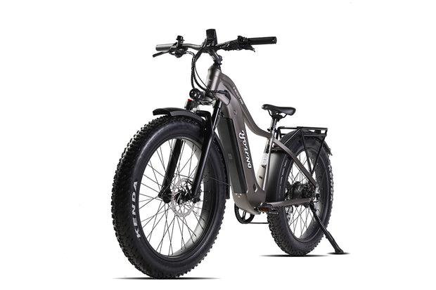 Young Electric Sample Ebikes and Bike Racks Sales